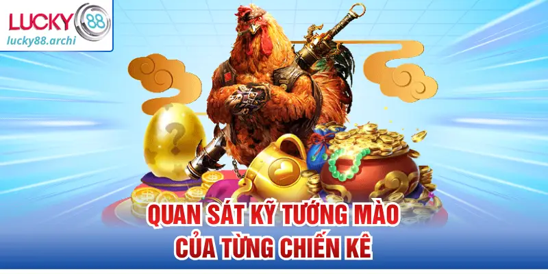 Quan sát kỹ tướng mào của từng chiến kê